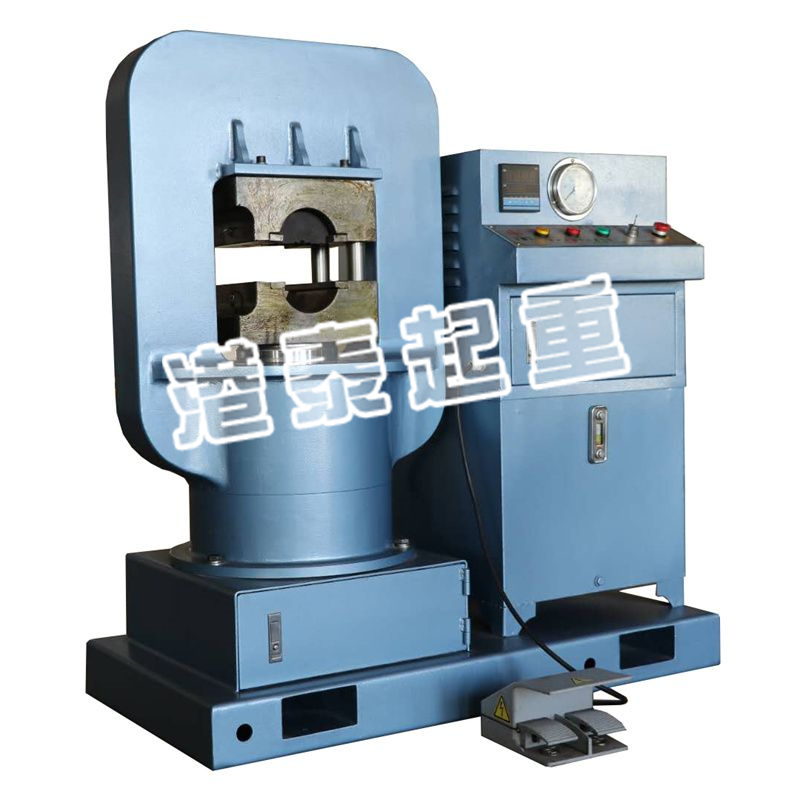 钢丝绳压套机100T